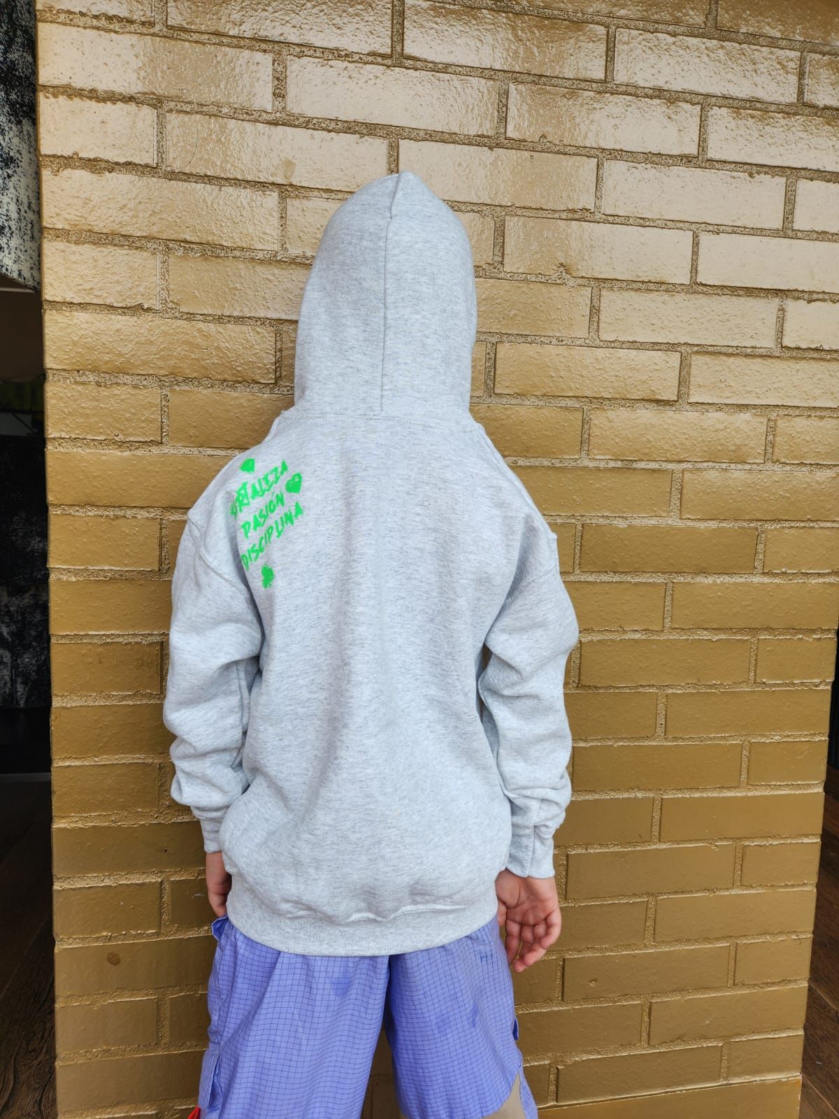 Grey and Green Hoodie